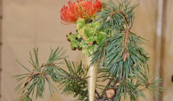 Allerheiligen  2015-043.JPG