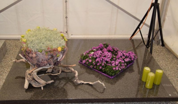 Allerheiligen  2015-019.JPG