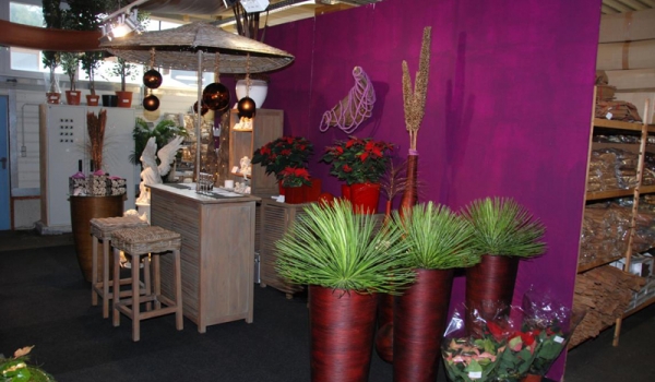DSC03.JPG