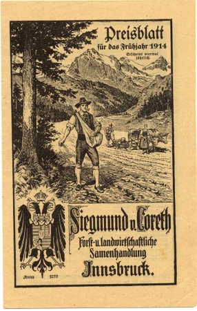 15.JPG